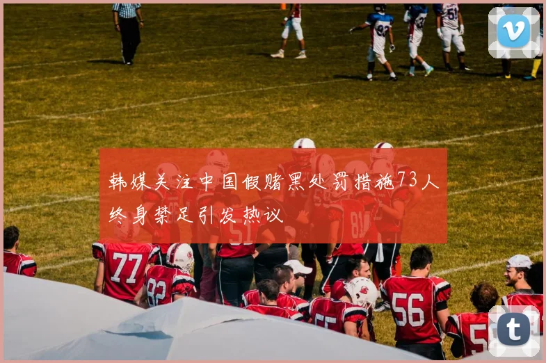 韩媒关注中国假赌黑处罚措施73人终身禁足引发热议