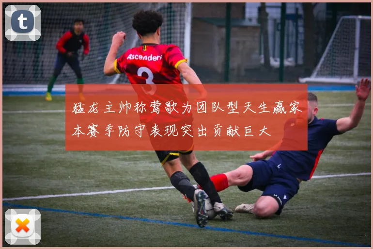 猛龙主帅称莺歌为团队型天生赢家本赛季防守表现突出贡献巨大