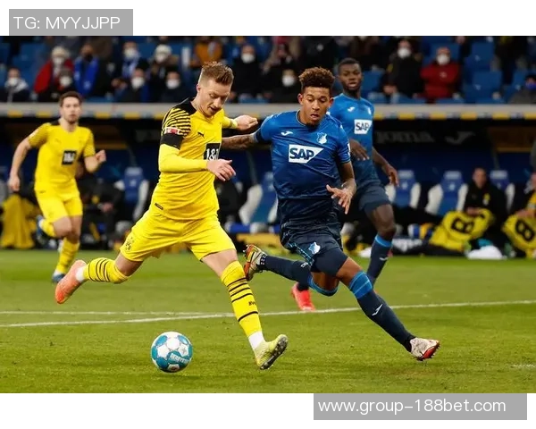 德甲精彩对决霍芬海姆主场迎战科隆力争胜利